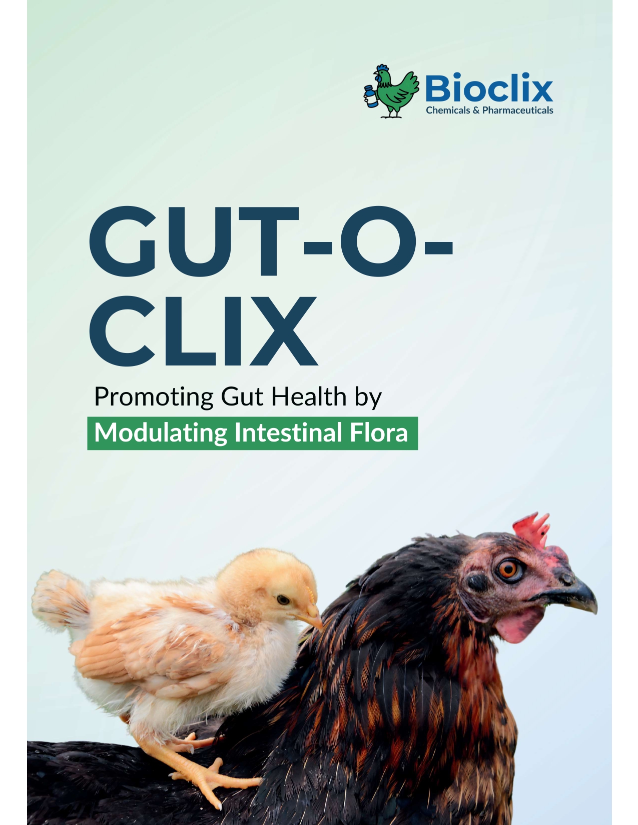 Gut-o-Clix